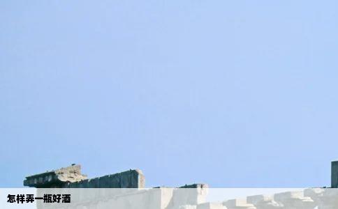 怎样弄一瓶好酒