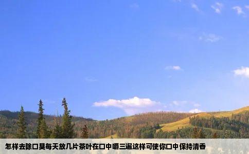 怎样去除口臭每天放几片茶叶在口中嚼三遍这样可使你口中保持清香