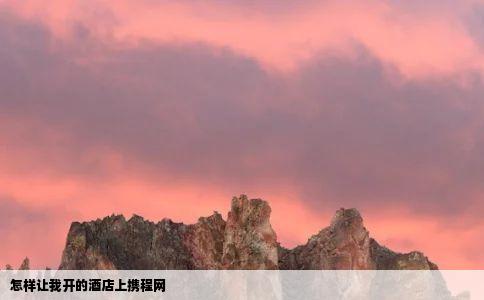 怎样让我开的酒店上携程网