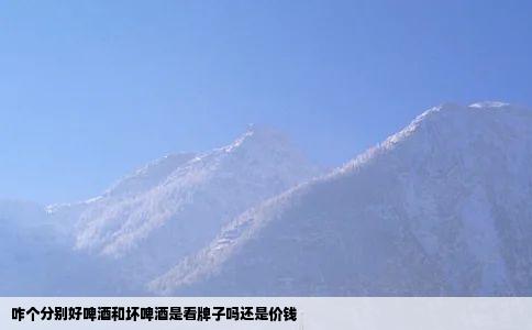 咋个分别好啤酒和坏啤酒是看牌子吗还是价钱