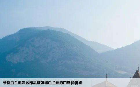 张裕白兰地怎么样品鉴张裕白兰地的口感和特点