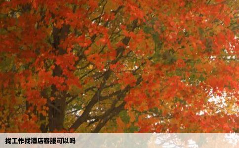 找工作找酒店客服可以吗
