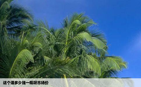 这个酒多少钱一瓶呀市场价