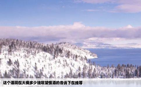 这个酒现在大概多少钱啊望懂酒的告诉下在线等