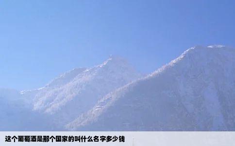 这个葡萄酒是那个国家的叫什么名字多少钱