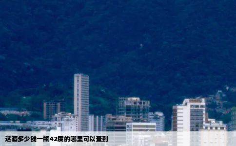 这酒多少钱一瓶42度的哪里可以查到