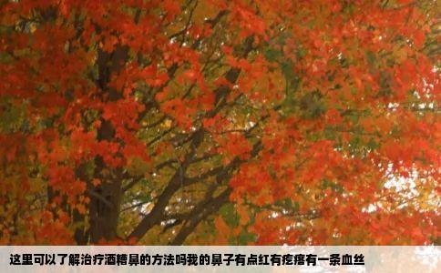 这里可以了解治疗酒糟鼻的方法吗我的鼻子有点红有疙瘩有一条血丝