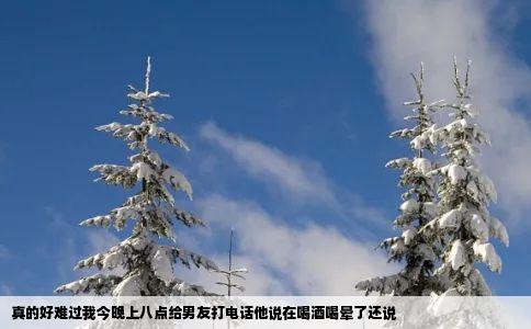 真的好难过我今晚上八点给男友打电话他说在喝酒喝晕了还说