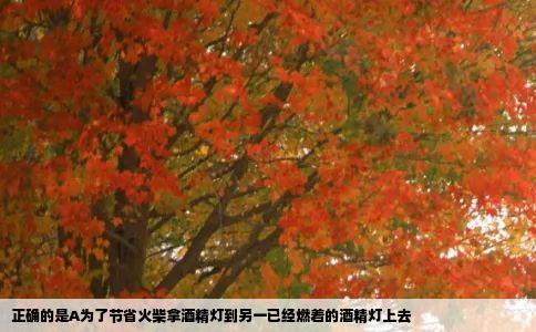 正确的是A为了节省火柴拿酒精灯到另一已经燃着的酒精灯上去