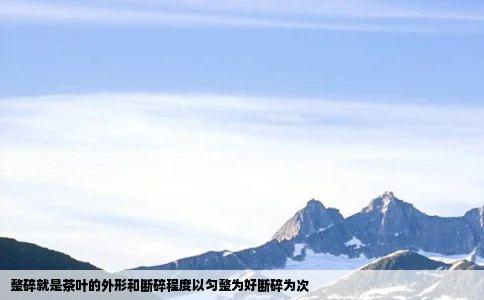 整碎就是茶叶的外形和断碎程度以匀整为好断碎为次