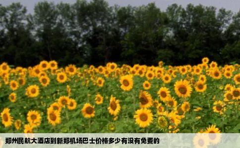 郑州民航大酒店到新郑机场巴士价格多少有没有免费的