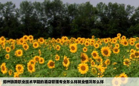 郑州铁路职业技术学院的酒店管理专业怎么样就业情况怎么样