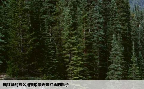 斟红酒时怎么用餐巾裹着盛红酒的瓶子