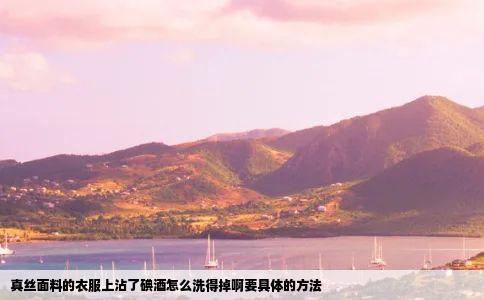 真丝面料的衣服上沾了碘酒怎么洗得掉啊要具体的方法