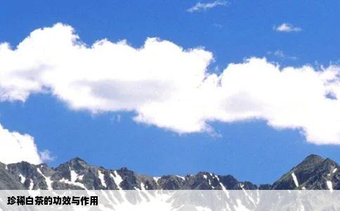 珍稀白茶的功效与作用