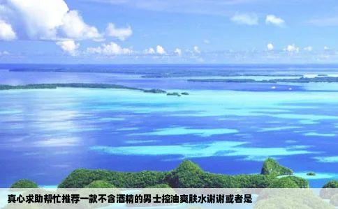 真心求助帮忙推荐一款不含酒精的男士控油爽肤水谢谢或者是