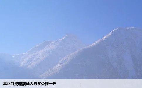 真正的纯粮散酒大约多少钱一斤