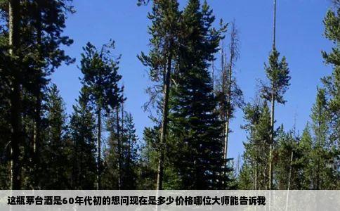 这瓶茅台酒是60年代初的想问现在是多少价格哪位大师能告诉我