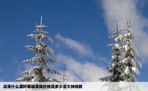 这是什么酒好喝嘛具体价格是多少求大神指教