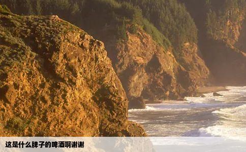 这是什么牌子的啤酒啊谢谢