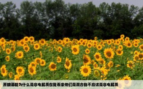 蔗糖酒精为什么是非电解质在我看来他们是混合物不应该是非电解质