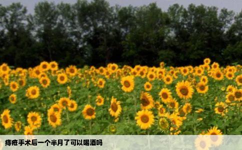 痔疮手术后一个半月了可以喝酒吗