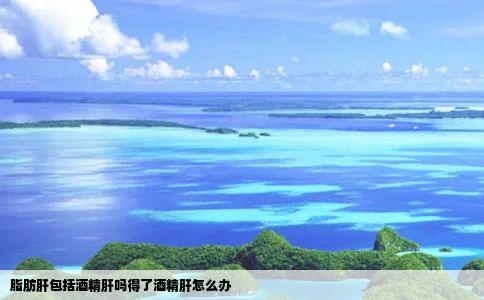 脂肪肝包括酒精肝吗得了酒精肝怎么办