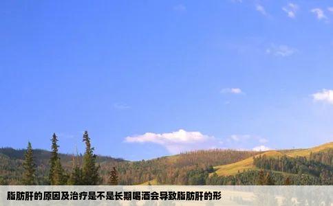 脂肪肝的原因及治疗是不是长期喝酒会导致脂肪肝的形