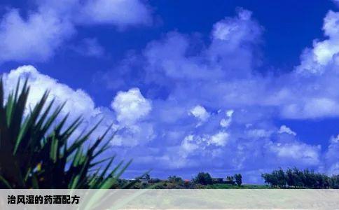 治风湿的药酒配方