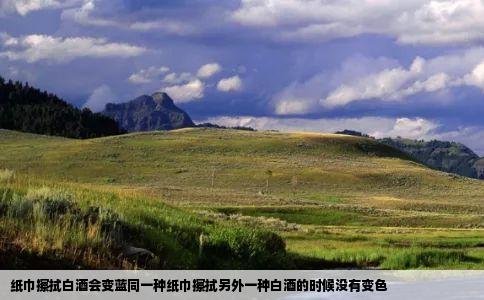 纸巾擦拭白酒会变蓝同一种纸巾擦拭另外一种白酒的时候没有变色