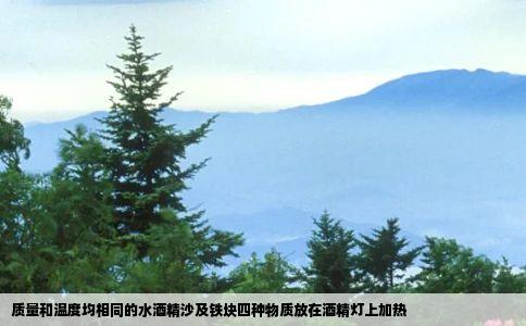 质量和温度均相同的水酒精沙及铁块四种物质放在酒精灯上加热