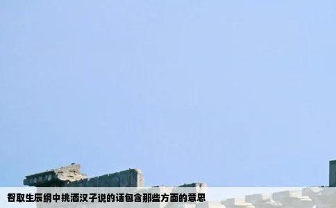 智取生辰纲中挑酒汉子说的话包含那些方面的意思