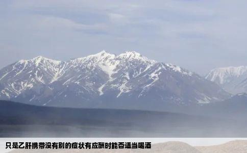 只是乙肝携带没有别的症状有应酬时能否适当喝酒