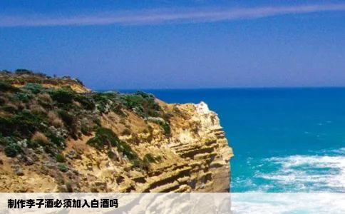 制作李子酒必须加入白酒吗