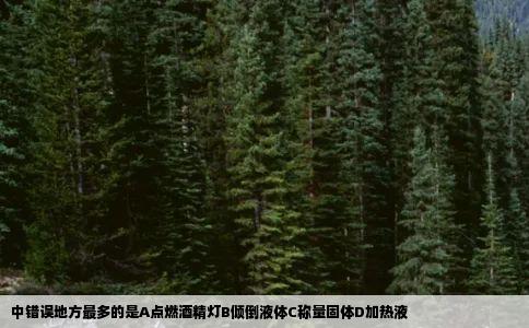 中错误地方最多的是A点燃酒精灯B倾倒液体C称量固体D加热液