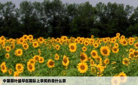 中国茶叶最早在国际上拿奖的是什么茶