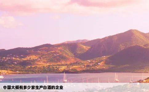 中国大概有多少家生产白酒的企业
