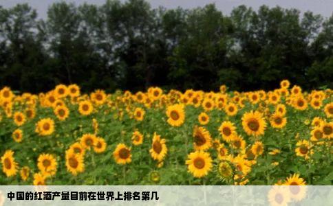 中国的红酒产量目前在世界上排名第几