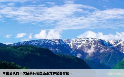 中国公认的十大名茶有哪些西湖龙井是否排第一