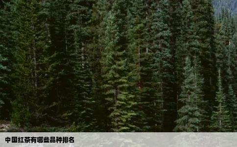 中国红茶有哪些品种排名