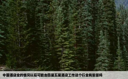 中国酒店业的情况以后可能去四星五星酒店工作这个行业有前景吗