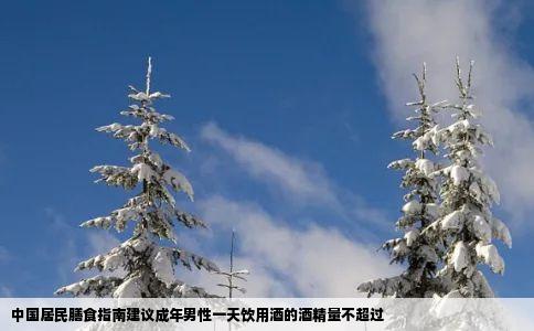 中国居民膳食指南建议成年男性一天饮用酒的酒精量不超过
