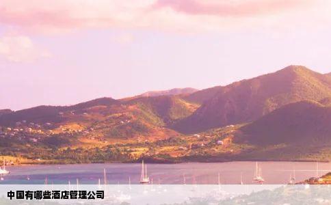 中国有哪些酒店管理公司