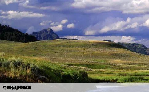 中国有哪些啤酒
