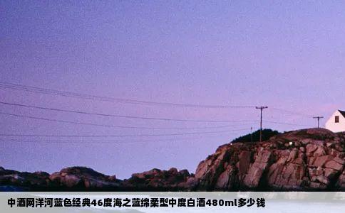 中酒网洋河蓝色经典46度海之蓝绵柔型中度白酒480ml多少钱