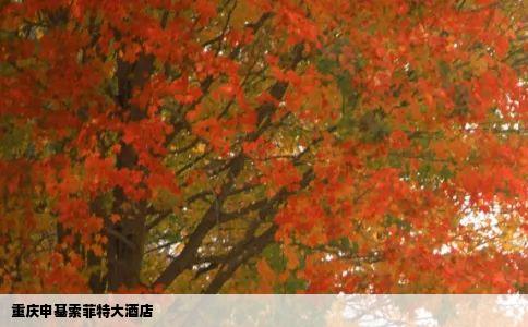 重庆申基索菲特大酒店