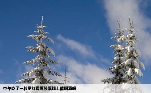 中午吃了一粒罗红霉素胶囊晚上能喝酒吗