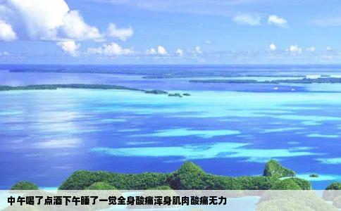 中午喝了点酒下午睡了一觉全身酸痛浑身肌肉酸痛无力