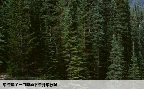 中午喝了一口啤酒下午开车行吗