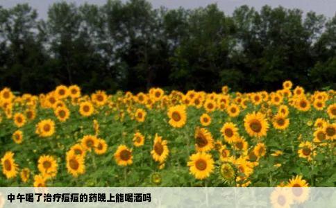 中午喝了治疗痘痘的药晚上能喝酒吗